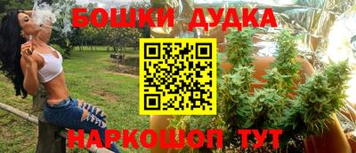 дживик Будённовск
