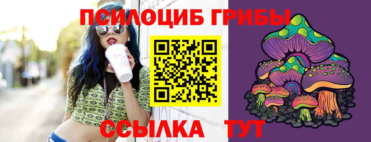 Протвино  Псилоцибиновые грибы MAGIC MUSHROOMS  Псилоцибиновые грибы Psilocybine cubensis  Вход с VPN 